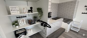 Dog wash